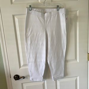 NWT Fresh Produce Cotton/Spandex Capri☀️